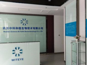 十二载匠心铸就品质 武汉专业发光字广告牌与喷绘招牌制作安装