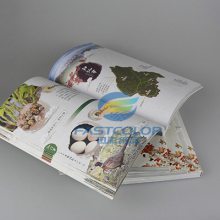 广州坑盒制作与销售 专业印刷、生产与广告定制一体化服务